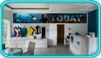 Lembongan Heller Tauchshop-Innenraum mit Theke, Auslage von T-Shirts und Tauchausrüstung sowie Wandbild mit Meeresmotiven und dem Schriftzug "TODAY", werbewirksam für legend diving